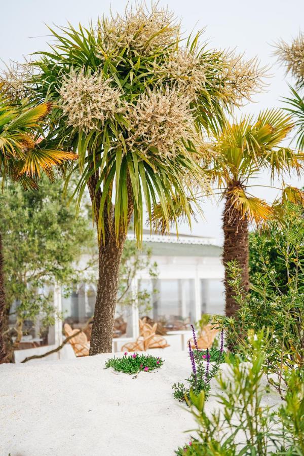 ברבטרה Hotel Le Noirmoutier מראה חיצוני תמונה